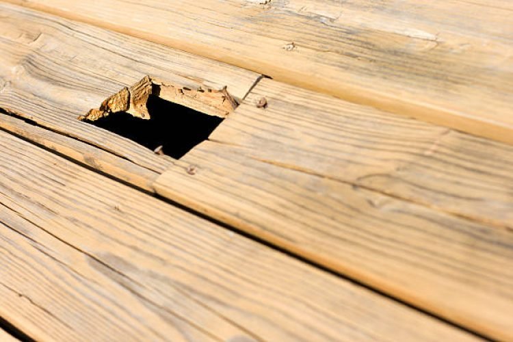 istockphoto-172947398-612x612-1.jpg